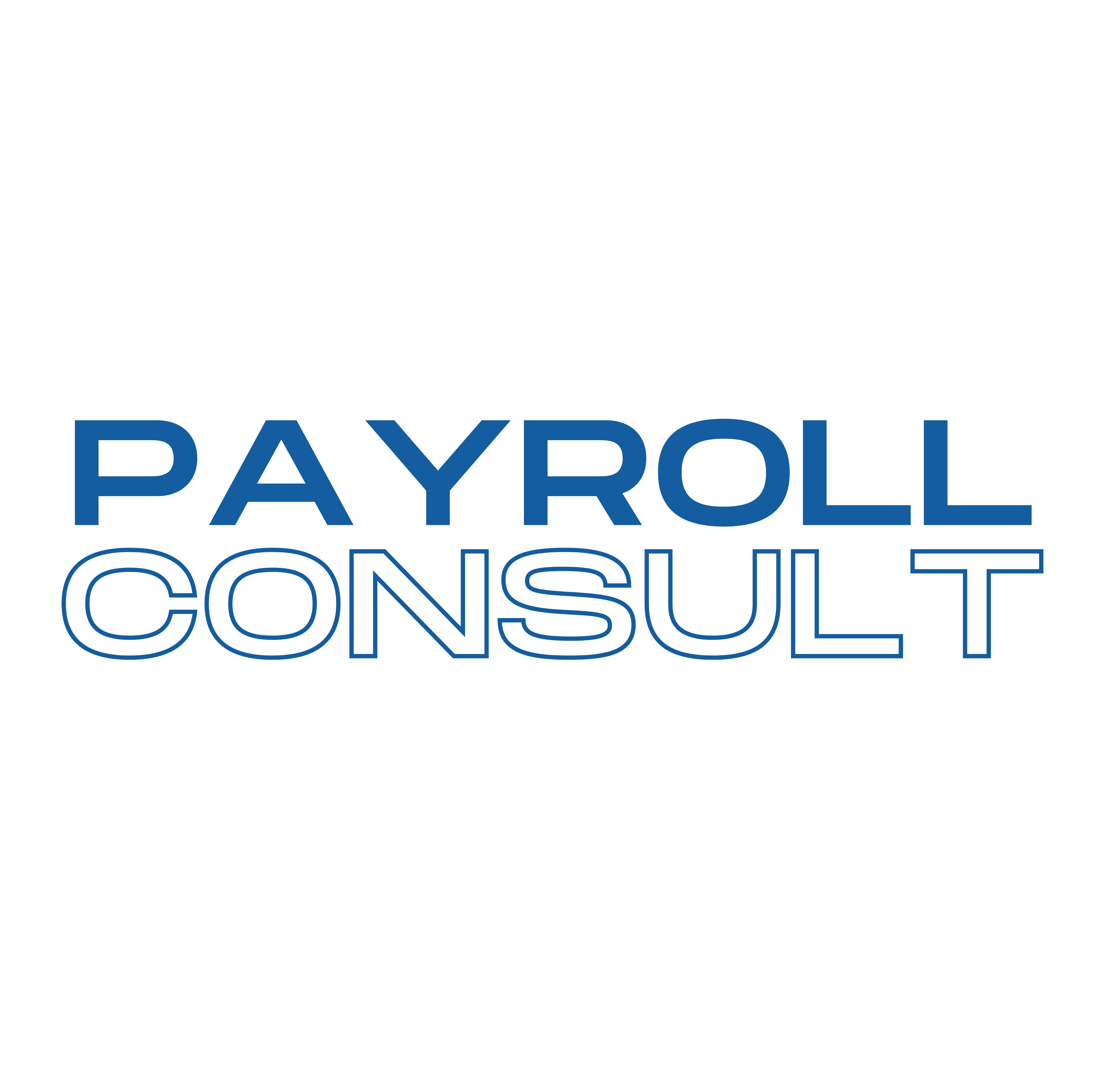 Payroll-Consult